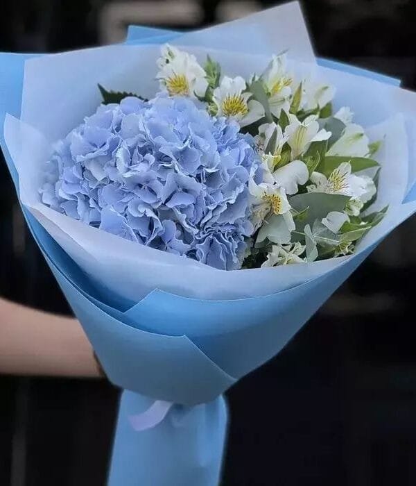 Голубая лагуна